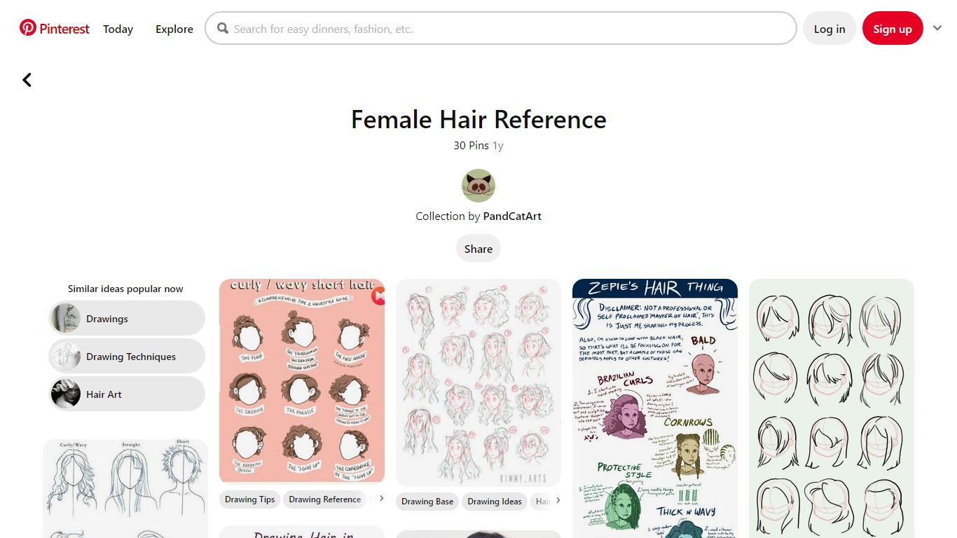 30 Female Hair Reference ideas | how to draw hair, hair reference, hair ...